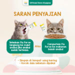 KIYOPAW Obat Flu Obat Batuk Obat Demam Kucing Anjing - Image 3