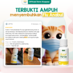 KIYOPAW Obat Flu Obat Batuk Obat Demam Kucing Anjing - Image 6